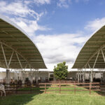 Design Concept Creating a Veterinary School Hospital Oasis